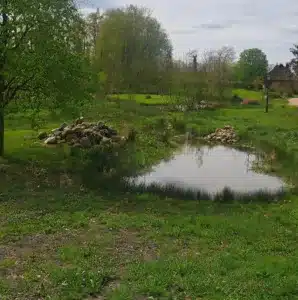 Suboha