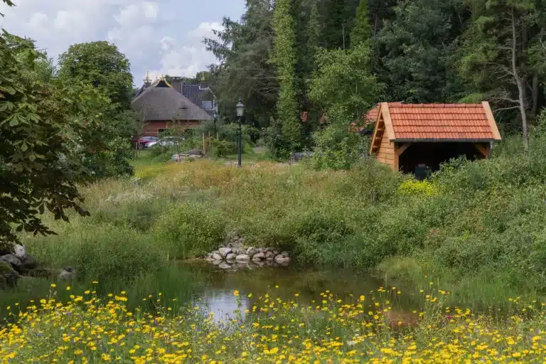 Natuurlijke tuin van De Hellehof in Terheijl Drenthe